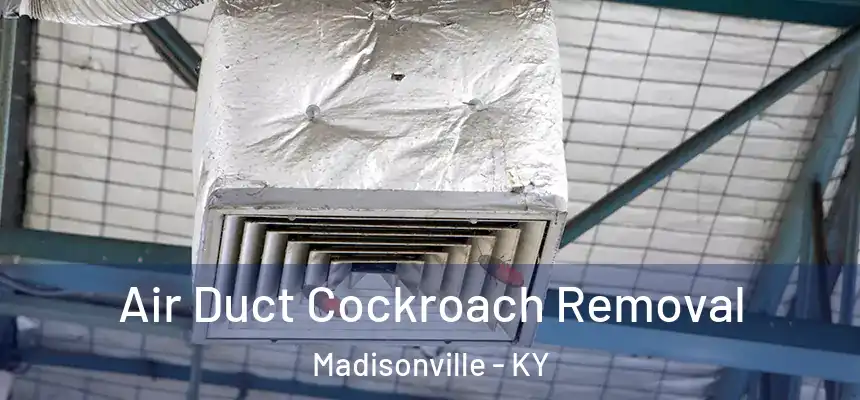  Air Duct Cockroach Removal Madisonville - KY