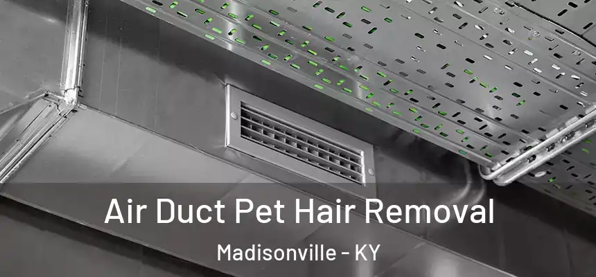  Air Duct Pet Hair Removal Madisonville - KY