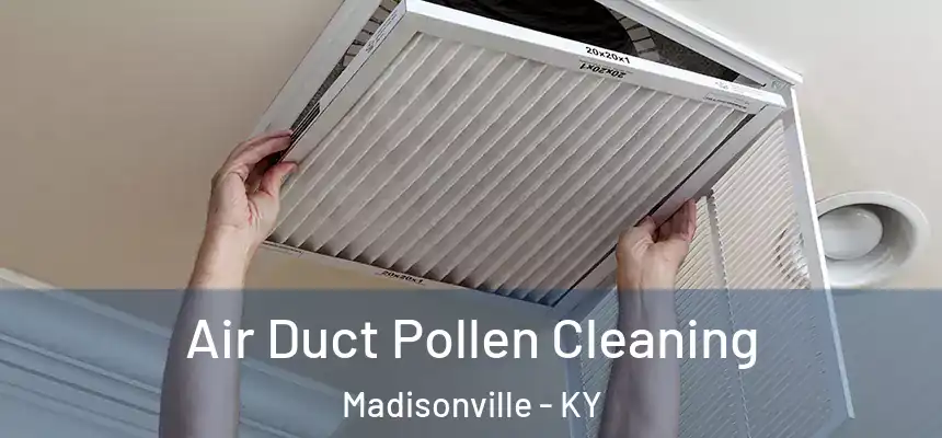  Air Duct Pollen Cleaning Madisonville - KY