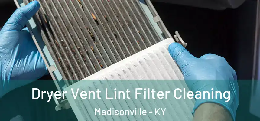 Dryer Vent Lint Filter Cleaning Madisonville - KY