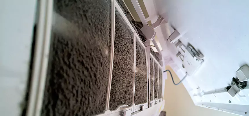 Preventive Air Duct Bacteria Removal in Madisonville