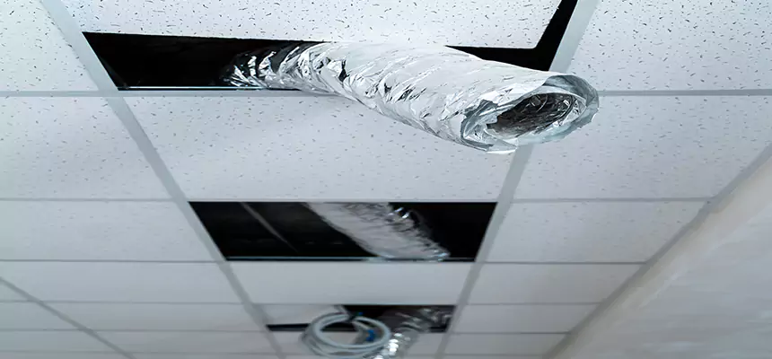 Affordable HVAC Sanitizing After Pest Removal in Madisonville