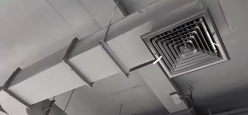 Restorative Allergy Relief Vent Cleaning – Coil, Blower & Housing Detail in Madisonville