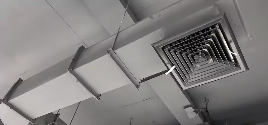 Our Pest Removal From Ducts Services in Madisonville, KY