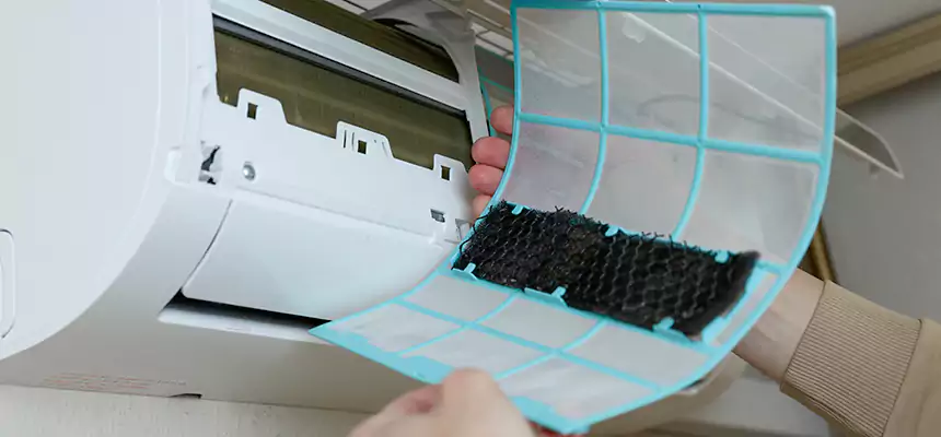 Gentle Ductwork Odor-Control Pet Dander Duct Cleaning in Madisonville, KY