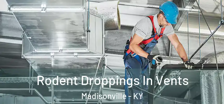  Rodent Droppings In Vents Madisonville - KY