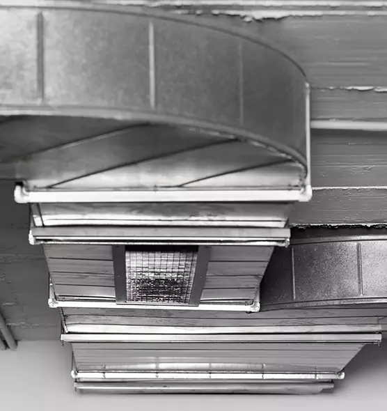 Professional Air Duct Pest Removal in Madisonville, KY