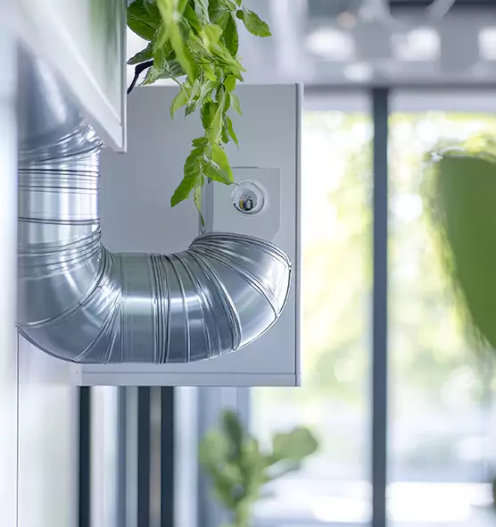 Professional Eco-Safe Dryer Vent Cleaning in Madisonville, KY