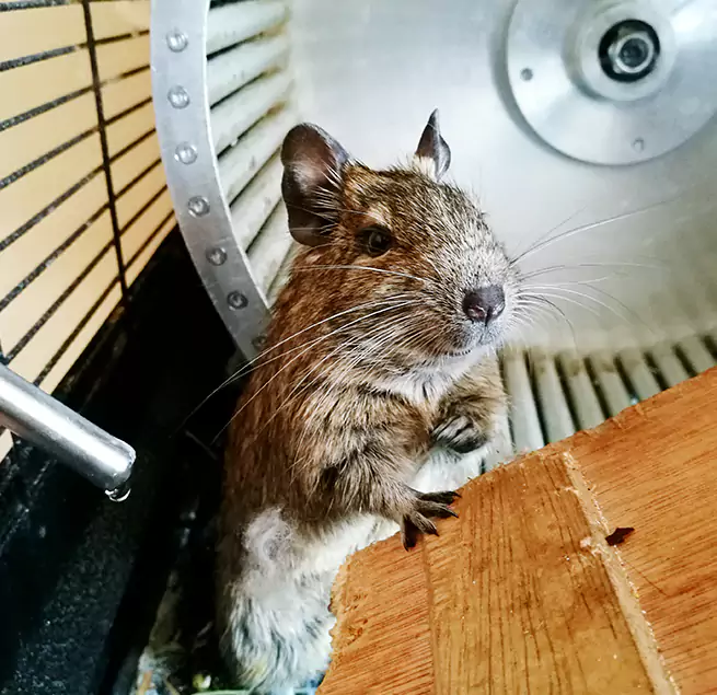 Why Homeowners & Businesses Trust Us Madisonville, KY?