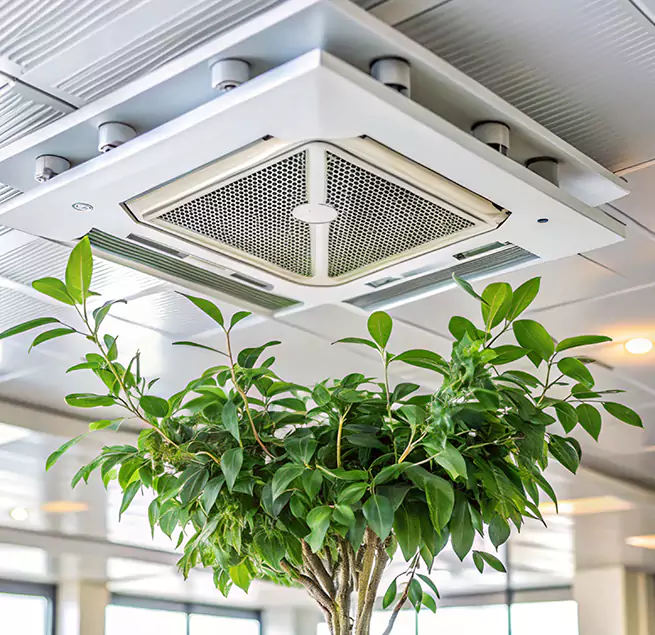 Why Homeowners & Businesses Trust Us in Madisonville, KY