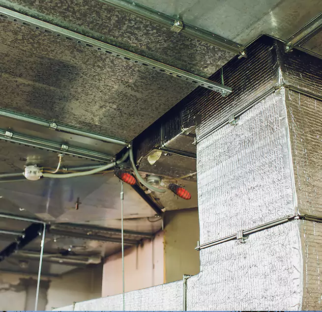 Why Homeowners & Businesses Trust Us Madisonville, KY?